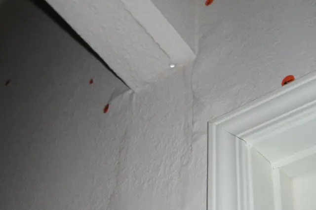 How do you fix water damaged walls?