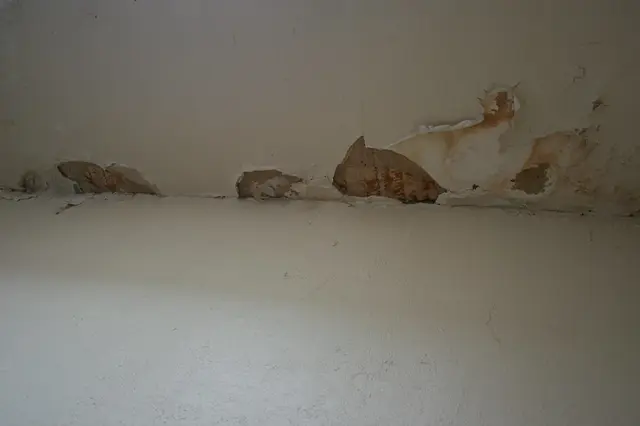 How long does it take to dry out walls from water damage?
