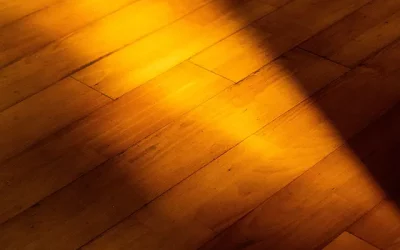 Water Damage To Wood: What You Should Know